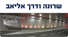 שרונה ודרך אליאב